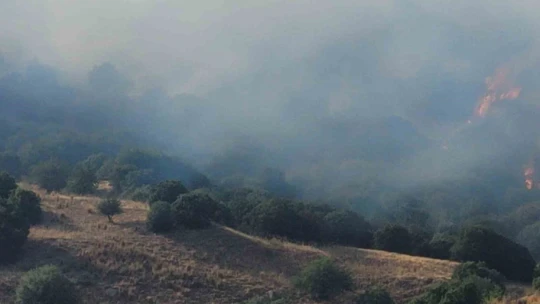 Aydın'da zirai alandaki yangın büyüyor
