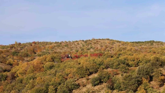 Aydın dağlarındaki sonbahar manzaraları mest ediyor