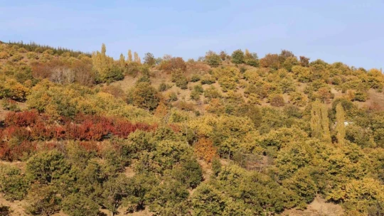 Aydın dağlarındaki sonbahar manzaraları mest ediyor