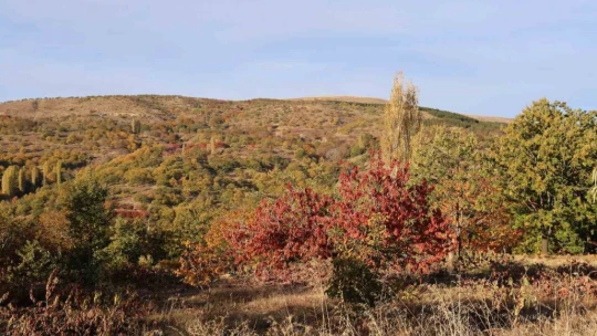 Aydın dağlarındaki sonbahar manzaraları mest ediyor