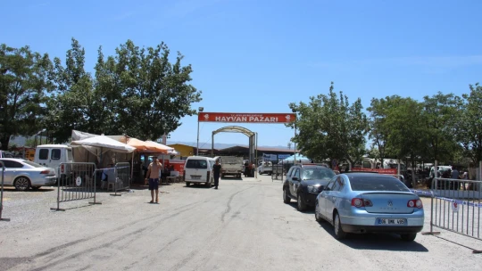 Aydın'daki hayvan pazarında bu yıl durgunluk yaşanıyor