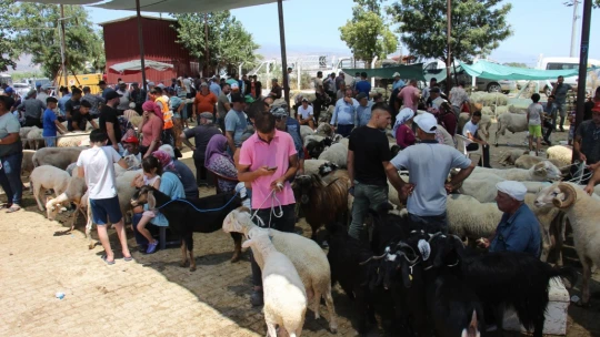 Aydın'daki hayvan pazarında bu yıl durgunluk yaşanıyor