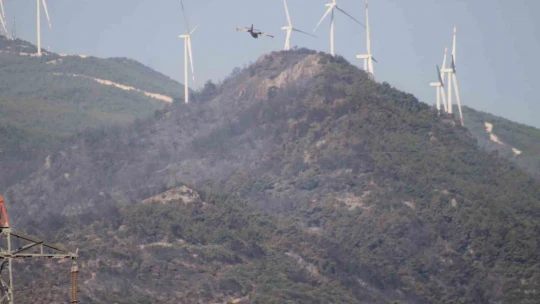 Aydın'daki orman yangını kontrol altında