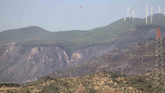 Aydın'daki orman yangını kontrol altında