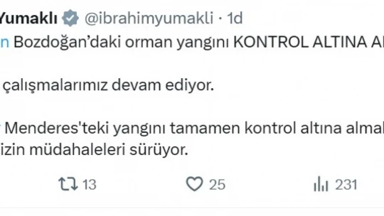 Aydın'daki orman yangını kontrol altına alındı