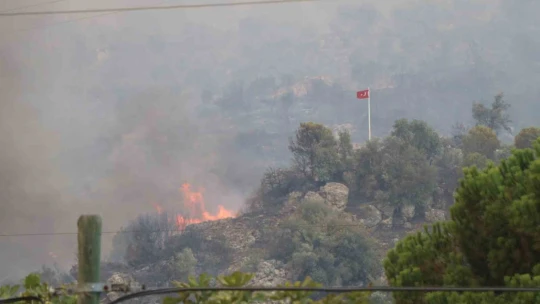 Aydın'daki orman yangınını kontrol altına alma çalışmaları devam ediyor