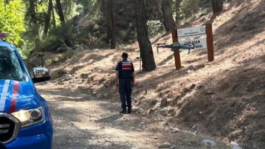Aydın'daki ormanlarda sıkı denetim: 28 kişiye 106 bin TL cezai işlem uygulandı