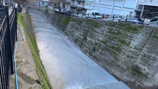 Aydın'daki yağışlar, Tabakhane Çayı'nda doğal temizliğe neden oldu
