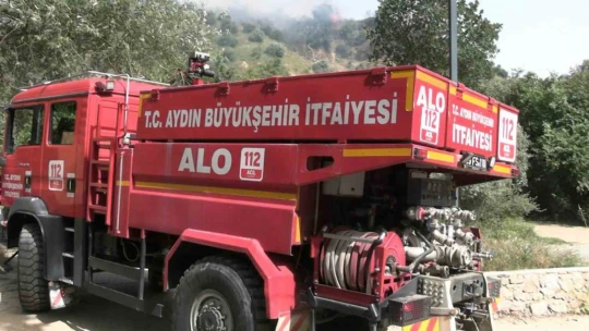 Aydın'daki yangın kontrol altına alındı