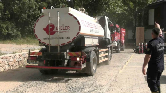 Aydın'daki yangın kontrol altına alındı