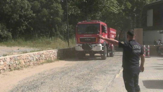 Aydın'daki yangın kontrol altına alındı