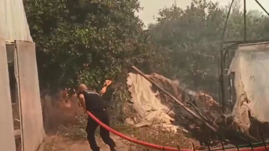 Aydın'daki yangın yerleşim yerlerine sıçradı