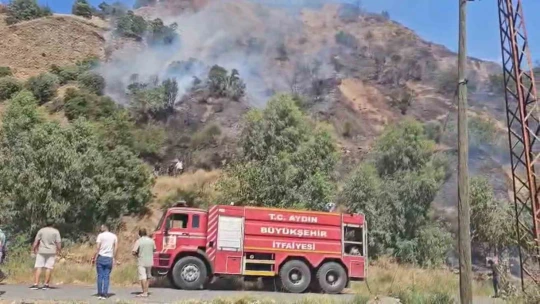 Aydın'daki yangınlar kontrol altına alındı