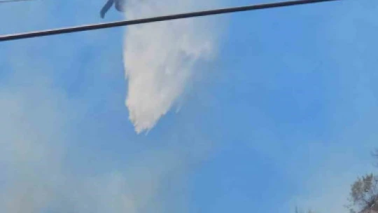 Aydın'daki yangınlar kontrol altına alındı