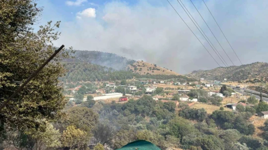 Aydın Efeler'de zirai alanda yangın, bazı evlerde hasar oluştu