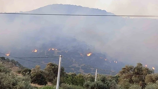 Aydın Efeler'deki yangına ekiplerin müdahalesi sürüyor