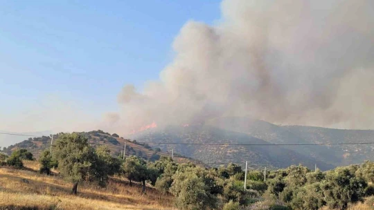 Aydın Efeler'deki yangına ekiplerin müdahalesi sürüyor