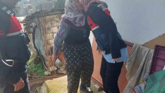 Aydın İl Jandarma Komutanlığı asırlık çınarları yalnız bırakılmıyor