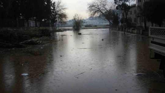 Aydın Ilıcabaşı'nda evleri su bastı, vatandaşlar yardım istedi