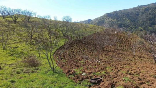 Aydın'ın 93 yıllık canlı tarihi, küresel ısınmayı değerlendirdi