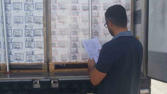 Aydın'ın balıkları Rusya yolcusu