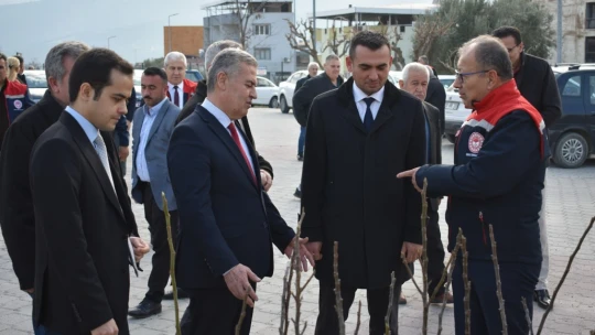 Aydın'ın ilk ilek bahçesi Buharkent'te kurulacak