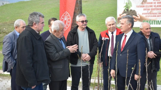 Aydın'ın ilk ilek bahçesi Buharkent'te kurulacak
