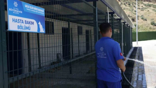Aydın'ın modern Evcil Hayvan Bakım ve Rehabilitasyon Merkezi tüm ihtiyaçlara yanıt veriyor