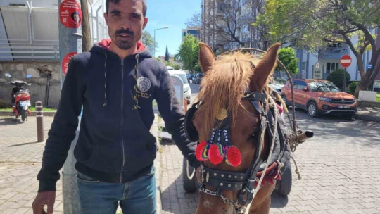 Aydın'ın son at arabacısı, evinin ve 5 çocuğunun iaşesini atıyla karşılıyor