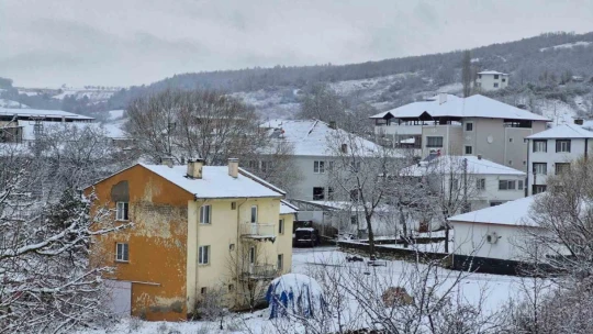 Aydın'ın yüksek kesimlerinde kar etkili oldu