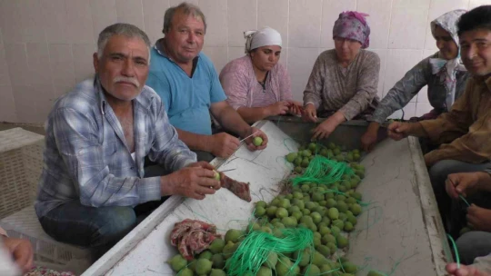 Aydın incirinde 'ilekleme' aralıksız sürüyor