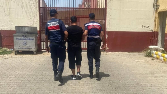 Aydın jandarması aranan şahıslara göz açtırmıyor