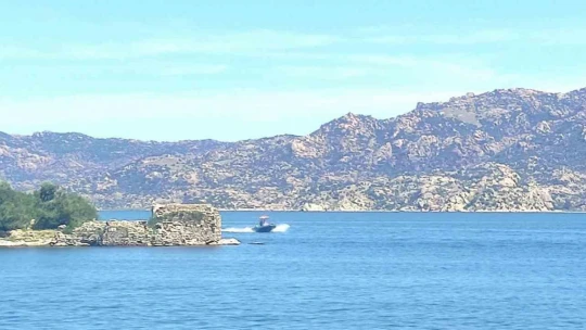 Aydın jandarması biyokaçakçılara göz açtırmıyor