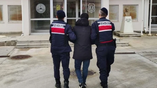Aydın jandarmasında eş zamanlı operasyon: 35 kişi yakalandı