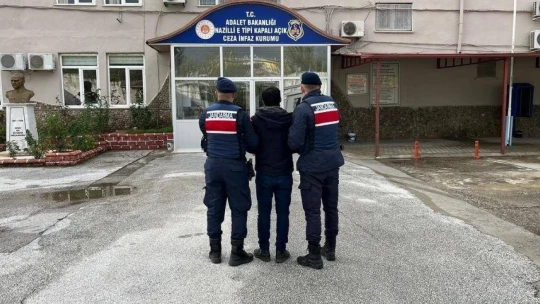 Aydın jandarmasından eş zamanlı operasyon