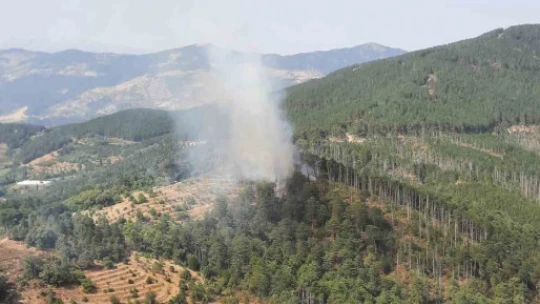Aydın Kuyucak'taki orman yangını kontrol altına alındı