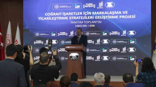Aydın Memecik Zeytinyağı, dünya markası olacak