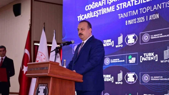 Aydın Memecik Zeytinyağı, dünya markası olacak