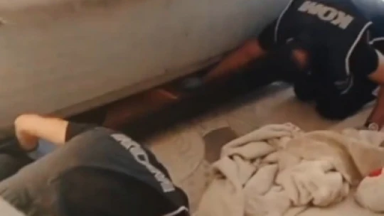 Aydın merkezli 'Dallas Çetesi' operasyonu: 13 tutuklama
