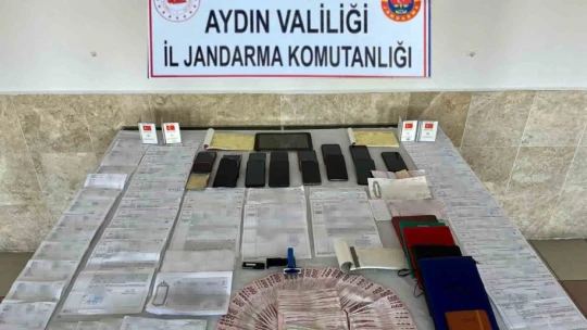 Aydın merkezli 4 ilde 46 milyonluk dolandırıcılık operasyonu: 35 gözaltı
