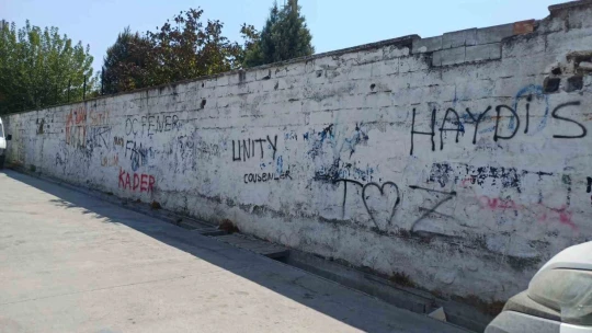 Aydın sokakları karalama duvarına döndü