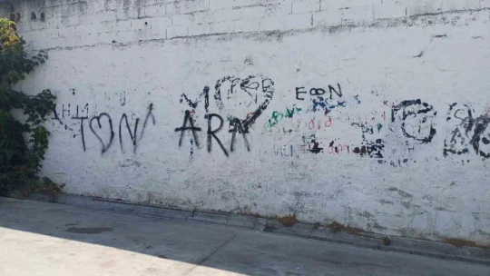 Aydın sokakları karalama duvarına döndü