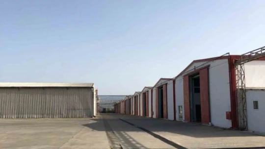 Aydın Tariş GES kurup enerji üretecek