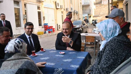 Aydın Valisi Canbolat, Yenipazar'da incelemelerde bulundu