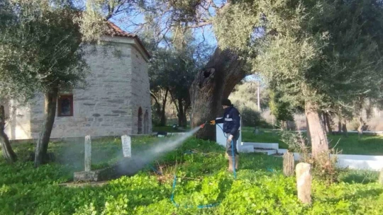 Aydınbey Türbesi bakıma alındı