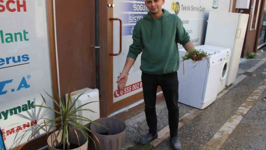 Aydınlı esnafın çiçek hırsızlarıyla başı dertte