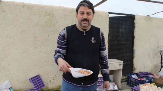Aydınlı pazarcı izinsiz tadımdan şikayetini hazırladığı etiket ile dile getiriyor