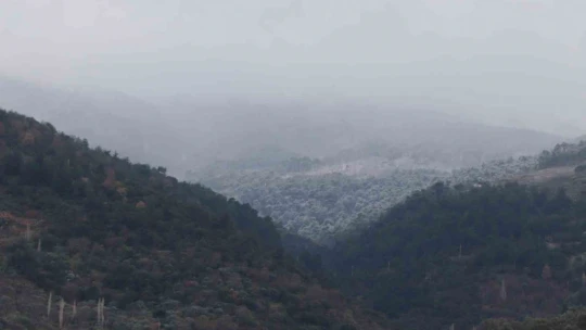 Aynı karede hem bahar, hem kış