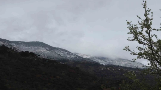 Aynı karede hem bahar, hem kış