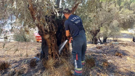 Aynı yer yeniden yandı ekipler harekete geçti